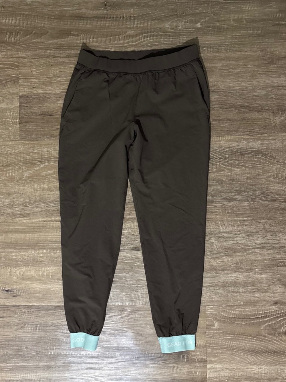 Cotopaxi Ara Joggers (S)